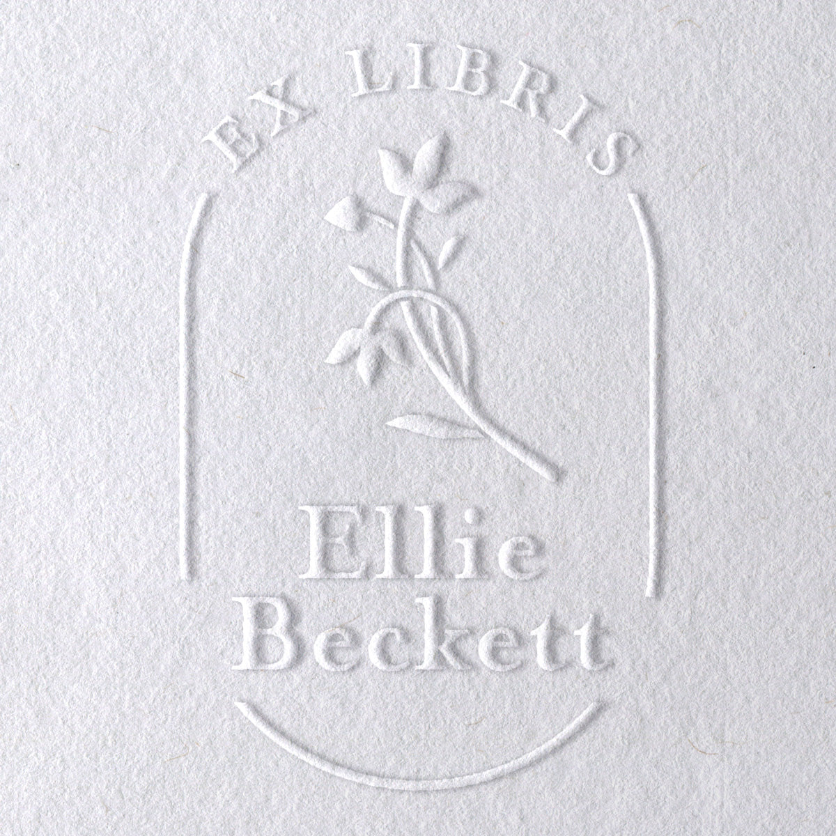 Aazon.co: Book Ebosser - Fro The Library Of Book Lover Gifts