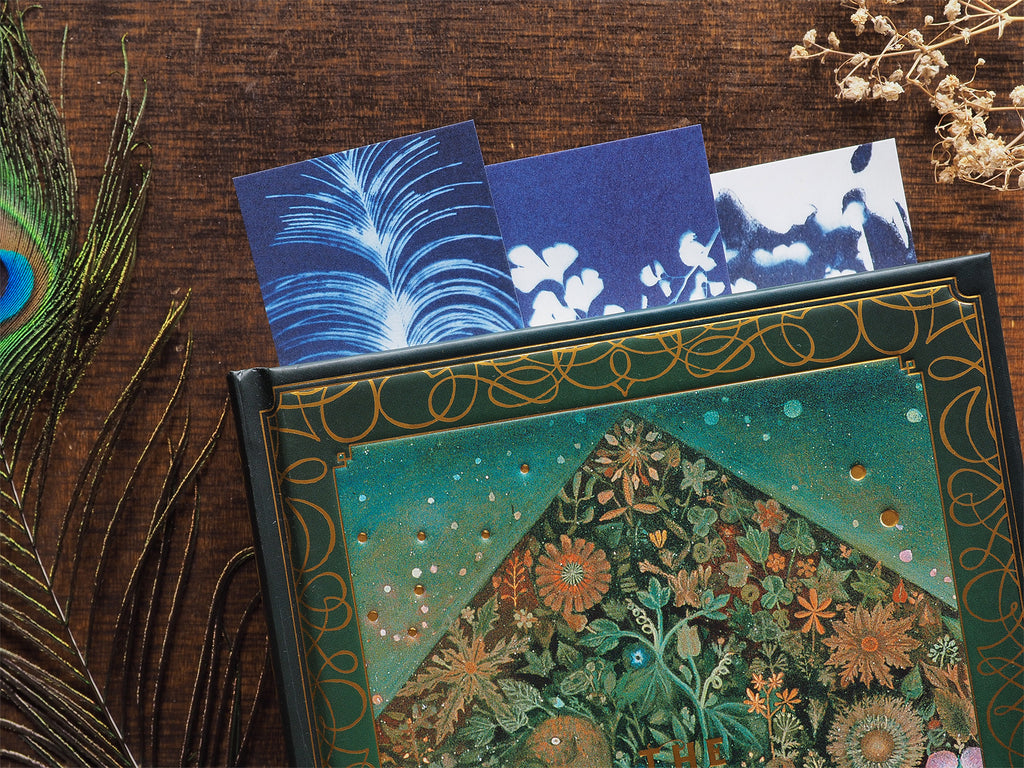 Set of 3 cyanotype bookmarks placed between the pages of a closed vintage book